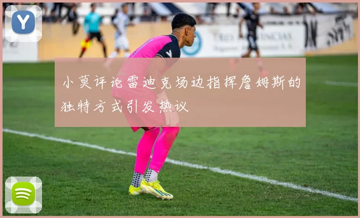 小莫评论雷迪克场边指挥詹姆斯的独特方式引发热议