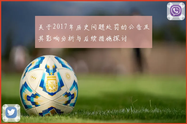 关于2017年历史问题处罚的公告及其影响分析与后续措施探讨